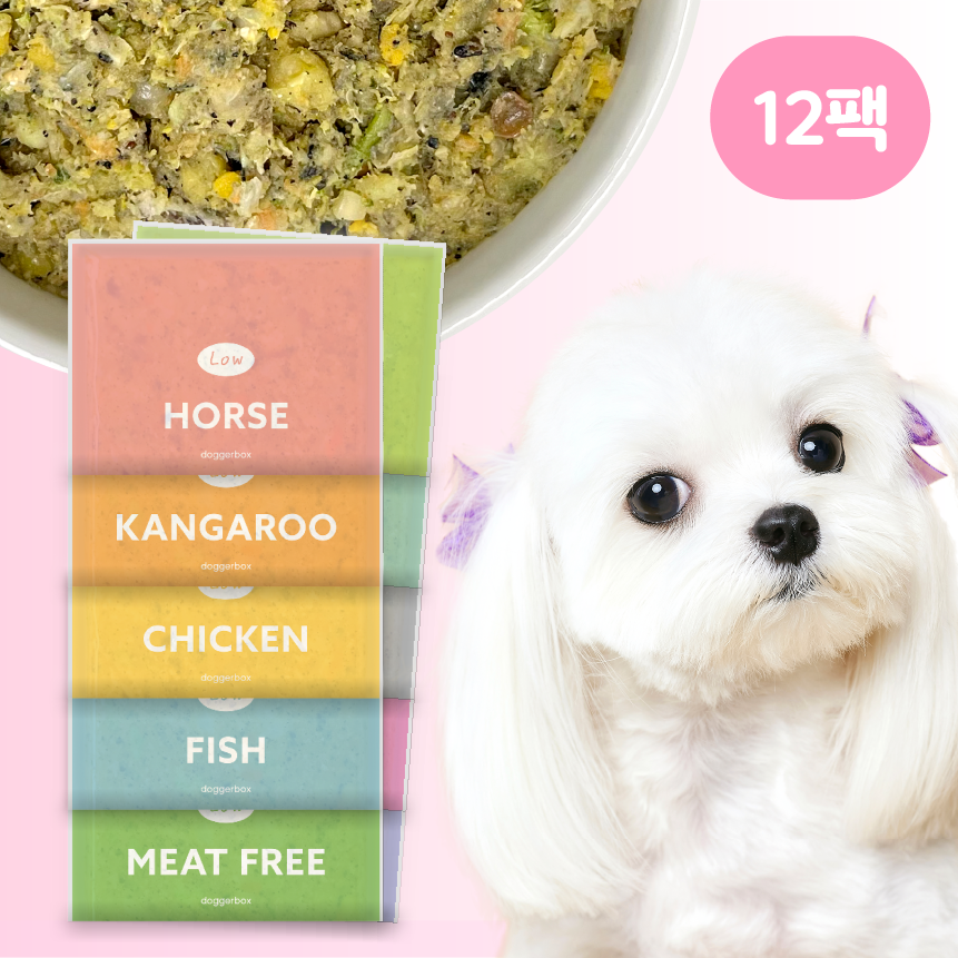 도거박스 샘플팩 강아지 화식 저단저지 사료 노견 큐브
