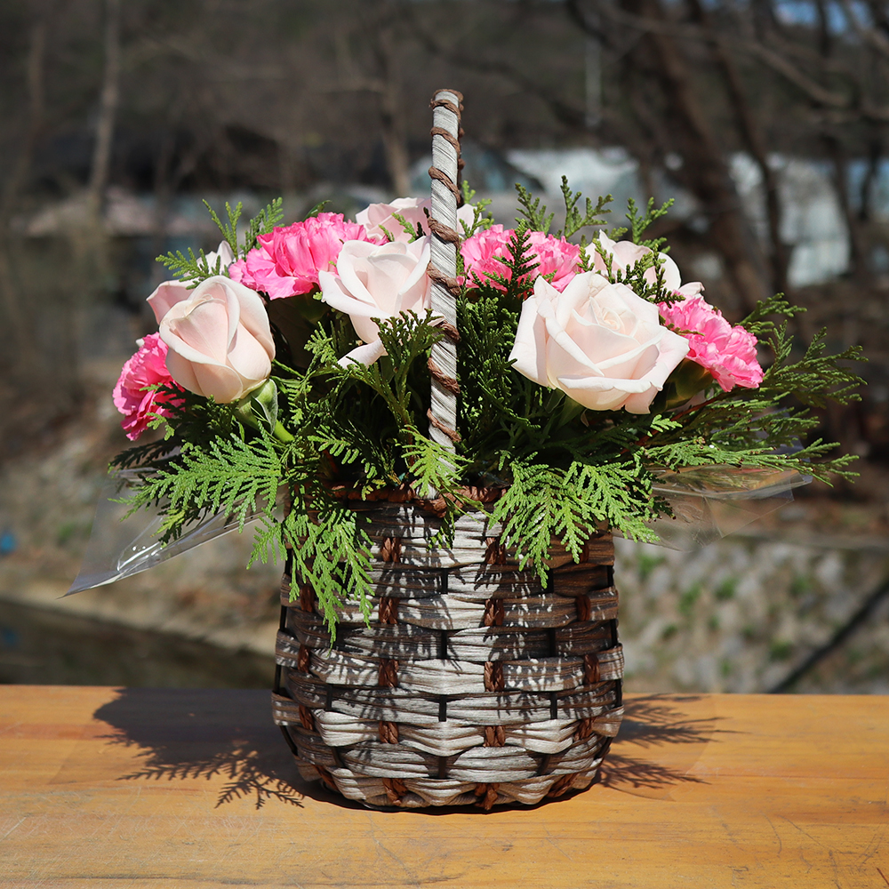 대전 카네이션 꽃바구니 어버이날 스승의날 꽃배달서비스 가정의달 부모님 선물 생화 농장직영