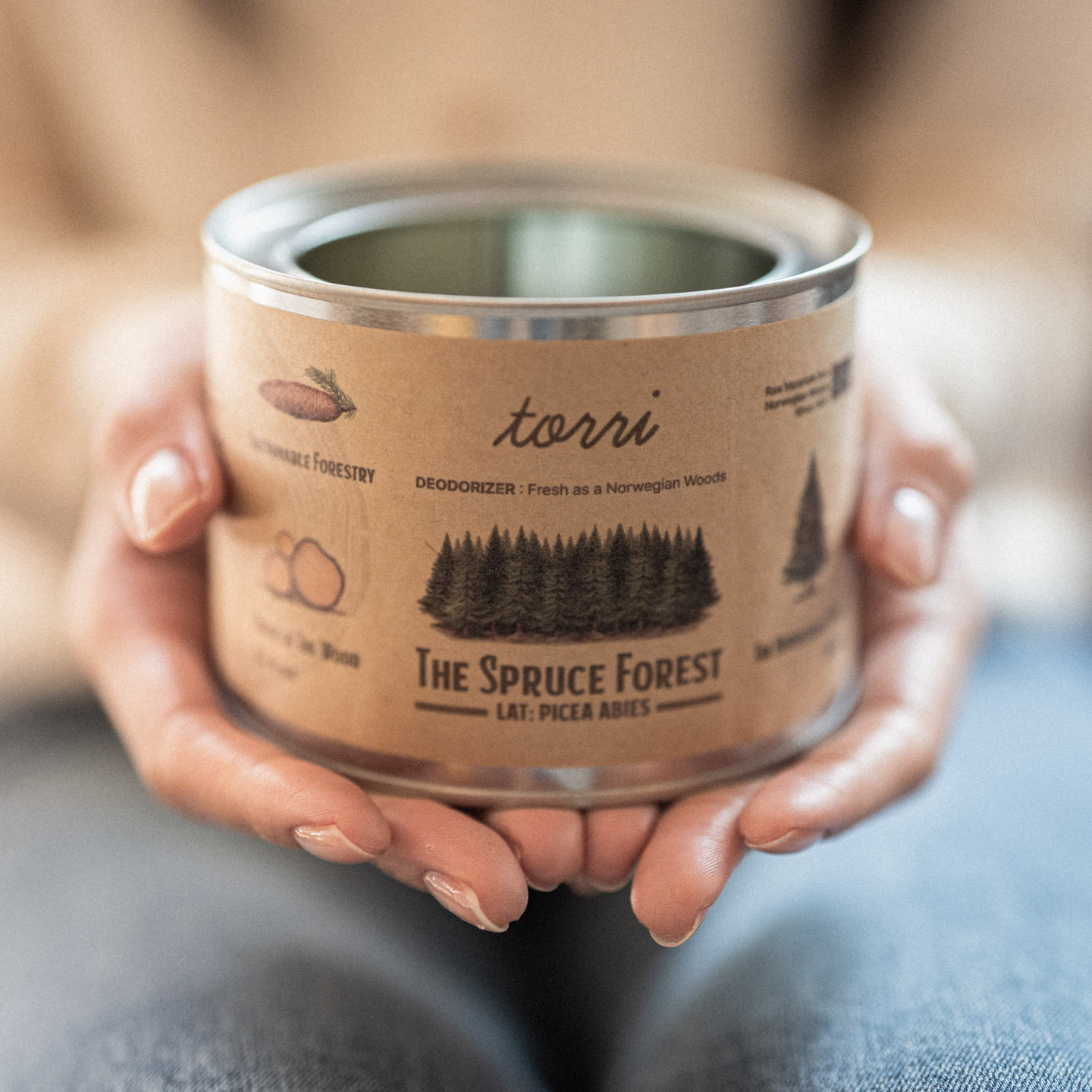 토리 노르웨이숲 탈취제 실내 새집증후군 신발  화장실냄새제거제 차량용 고체 탈취제 400g 제품 이미지