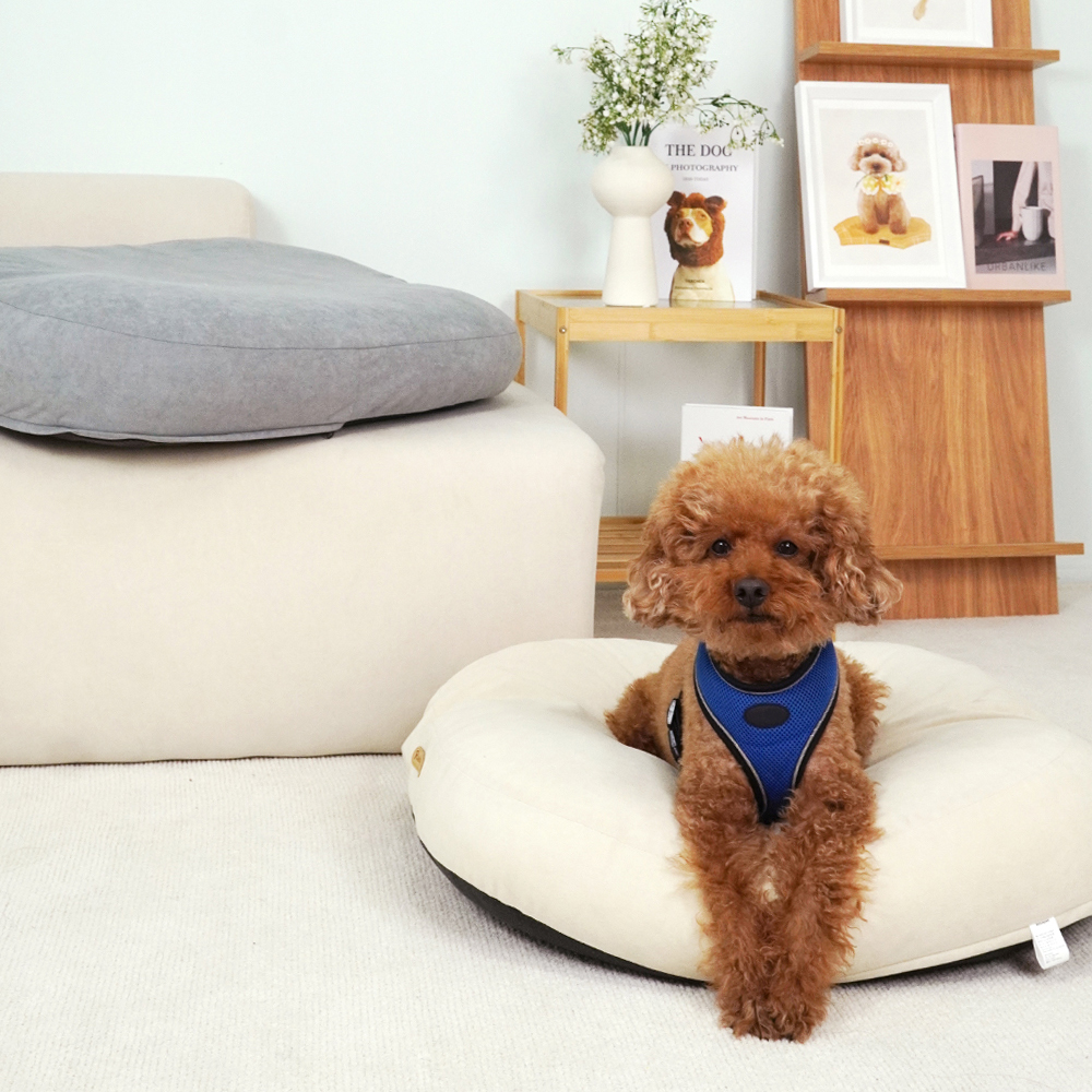 개과천선 플러피 강아지 방석 애견 중형견 사계절 꿀잠 도넛고양이 쿠션