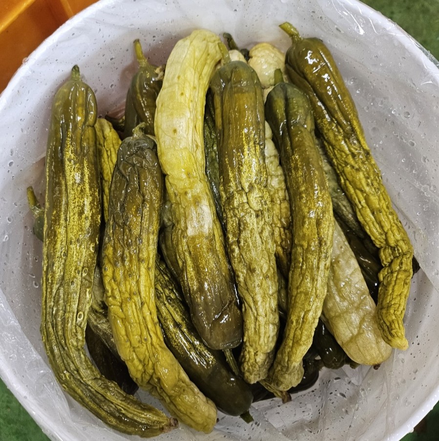 우성레포츠