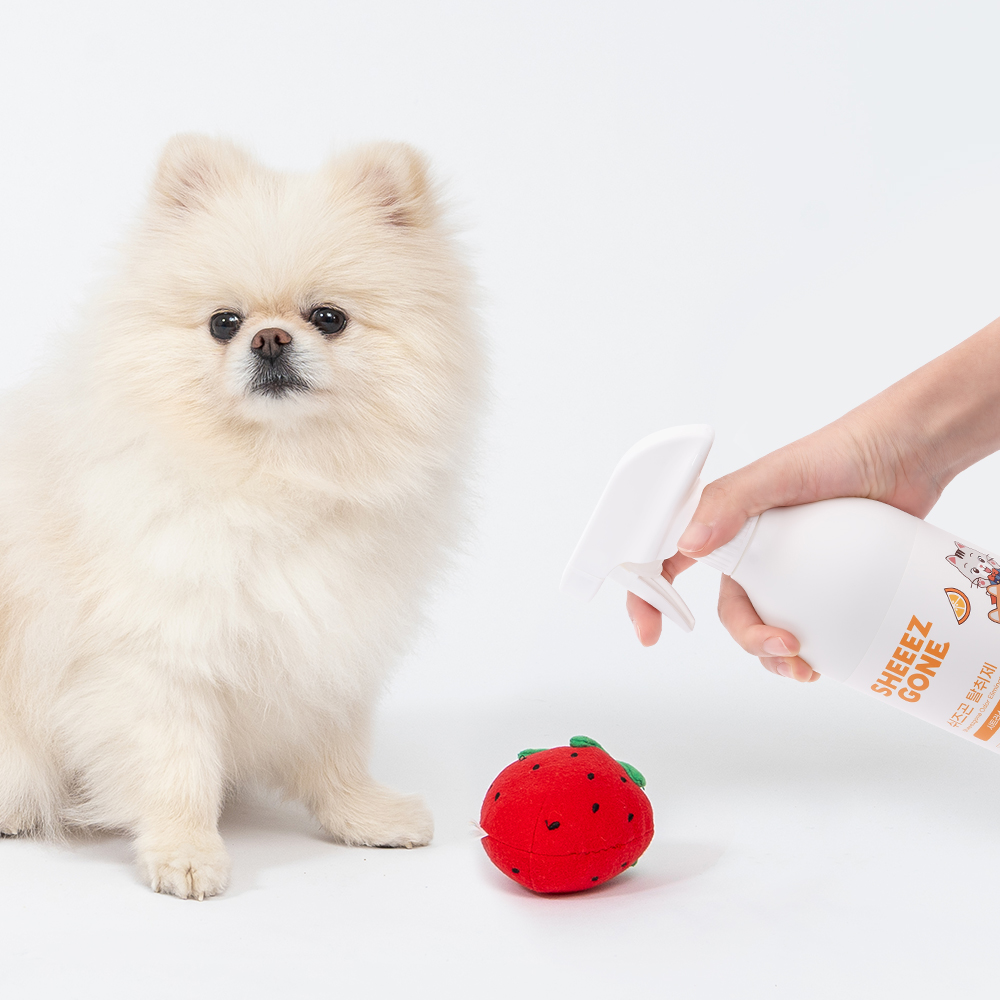 [고양이의 날] 쉬즈곤 강아지 고양이 무향 스프레이 탈취제 500ml, 1개 - 상세 이미지 2