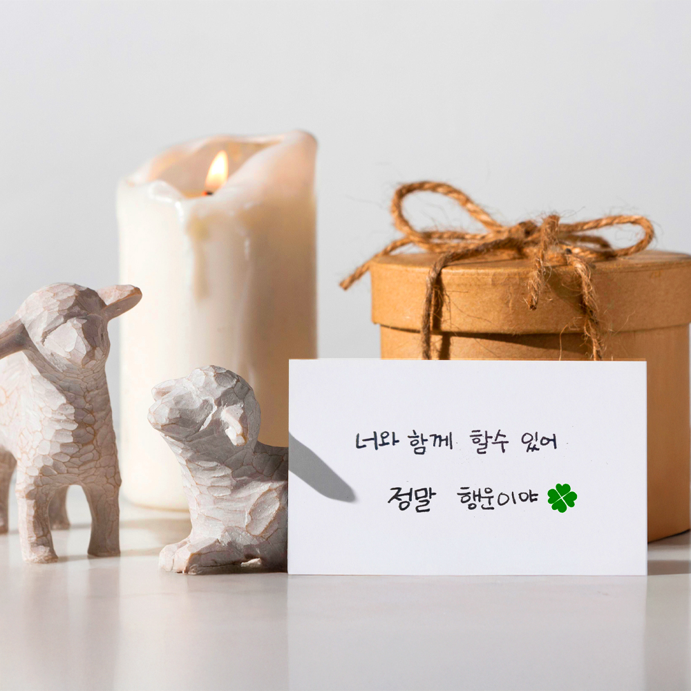고급 화이트 메세지카드 풀세트 엽서 생일 선물 미니 심플 기본 무지 감사 - 상세 이미지 5