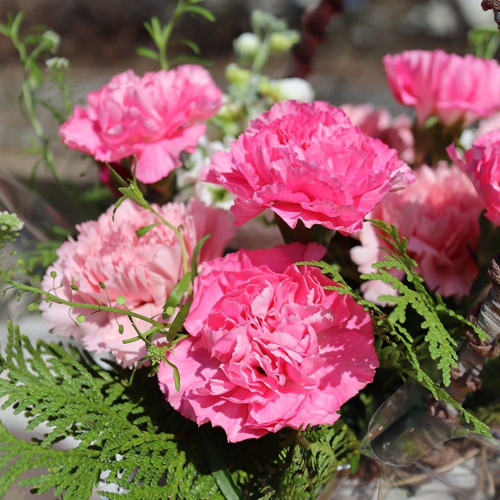 성남 카네이션 꽃바구니 어버이날 스승의날 꽃배달서비스 가정의달 부모님 선물 생화 농장직영