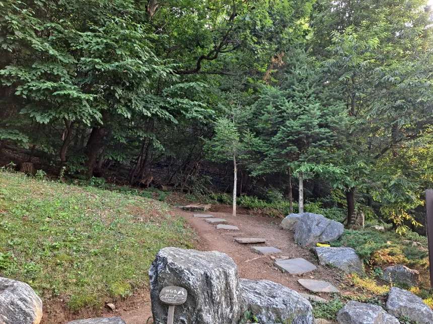 [깨비의숲마을][남양주 황금산] 경기 남양주 숲체험 어린이 겨울 유아 초등 자연 곤충 주말 체험 학습