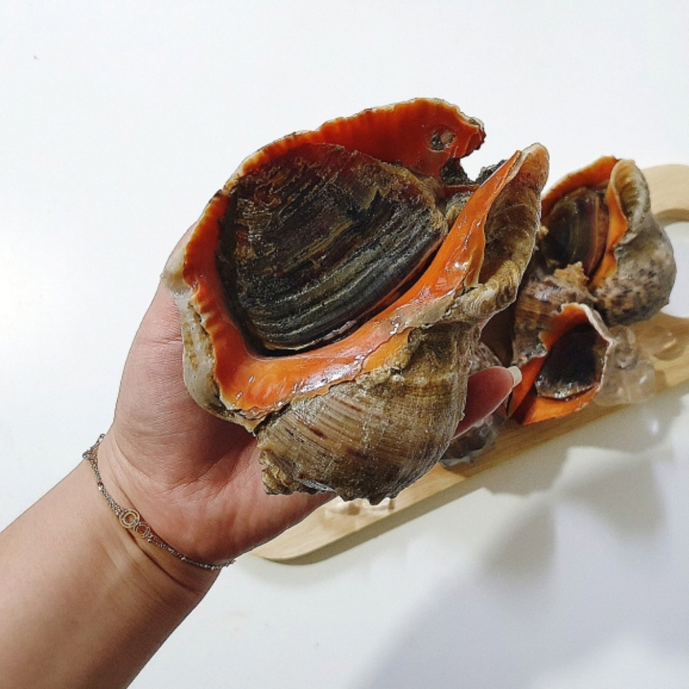 제철 참소라 숙회 구이 1kg - 메인 이미지