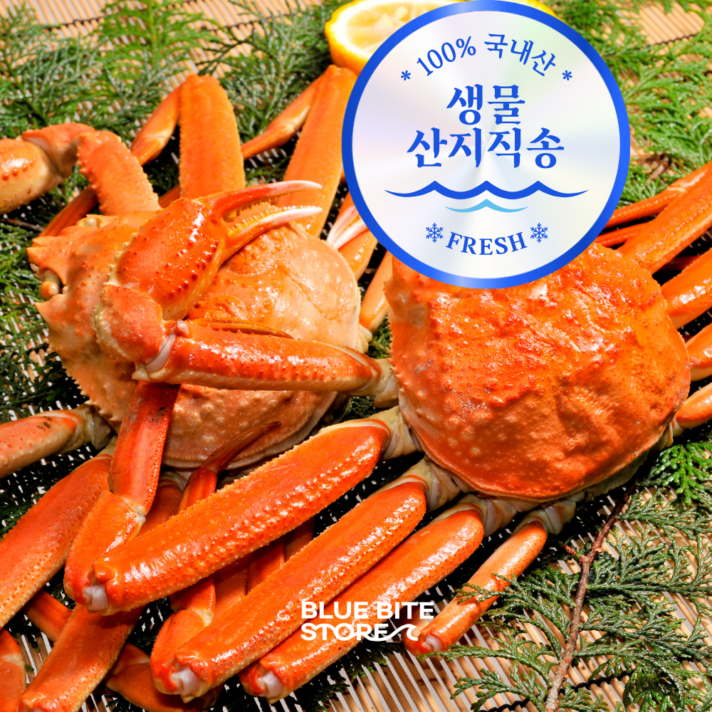 국내산 홍게 제철 박달대게 산지직송