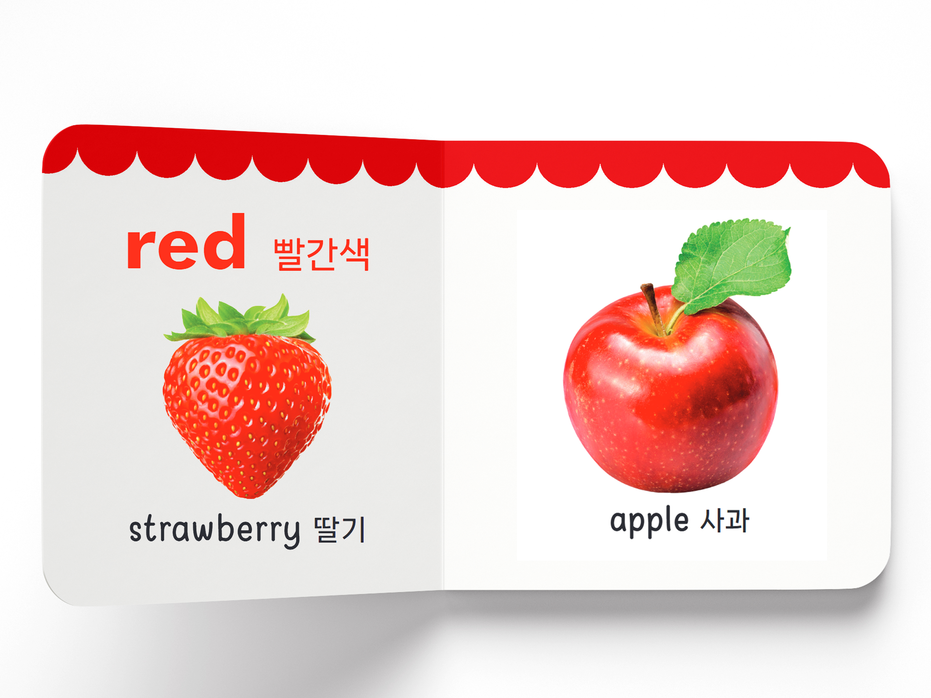 원더하우스북스 마이 퍼스트 러닝 라이브러리 영한본 20권 세트 이미지 4