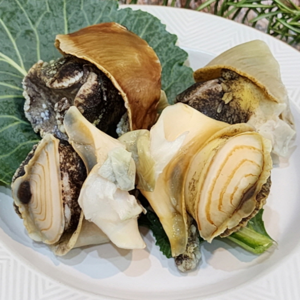 제철 참소라 숙회 구이 1kg - 상세 이미지 3