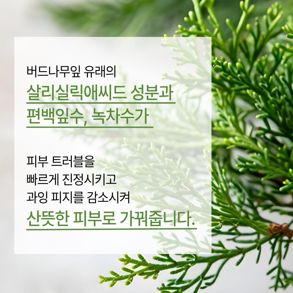 비타민사이언스 건성트러블 바이타 A 카밍 토너+에멀젼+세럼+수분크림 4종세트 수부지 이미지 6