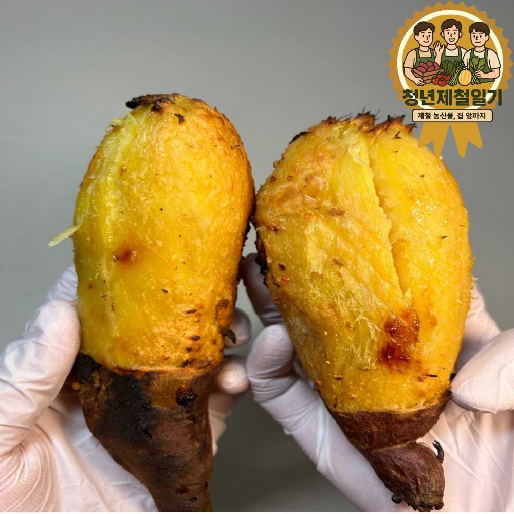 10kg 해남 고당도 베니하루카 꿀밤 고구마 국산