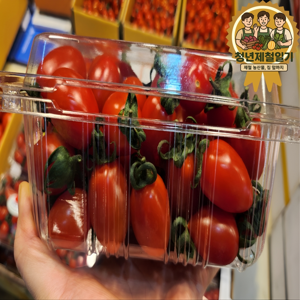 달콤하고 맛있는 대추 방울토마토