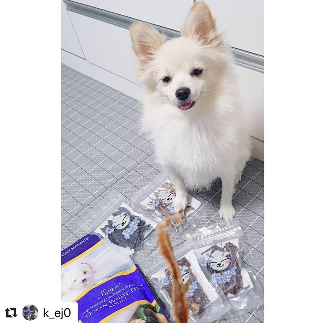 봉구의간식 강아지 반려견 고양이 황태 애견 애묘 천연 보양식 수제간식 황태스틱 35g 이미지 7