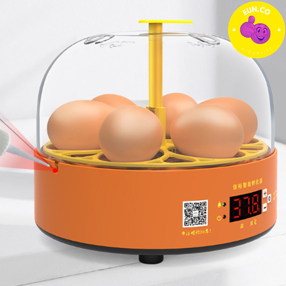 오토 원형 알부화기기 온도유지 병아리 부화시키기 에그 소형 6칸