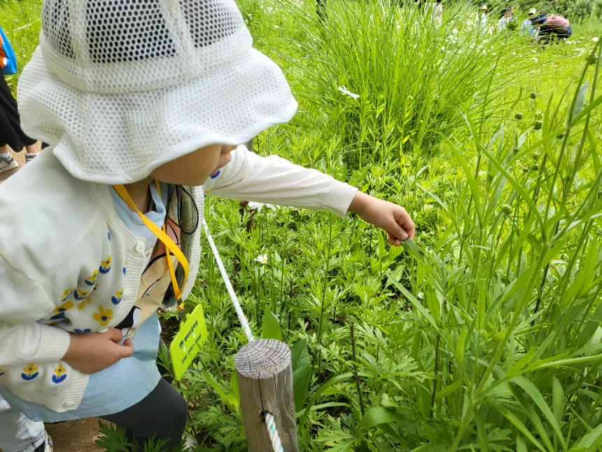 [깨비의숲마을][서울숲] 서울 성동구 숲체험 어린이 가을 유아 초등 자연 곤충 주말 체험 학습 - 상세 이미지 5