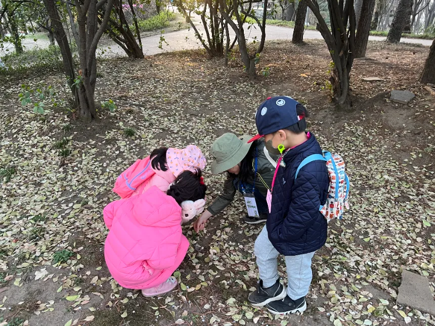 [깨비의숲마을][용산가족공원] 서울 용산구 숲체험 어린이 가을 유아 초등 자연 주말 곤충 체험 학습 - 상세 이미지 5