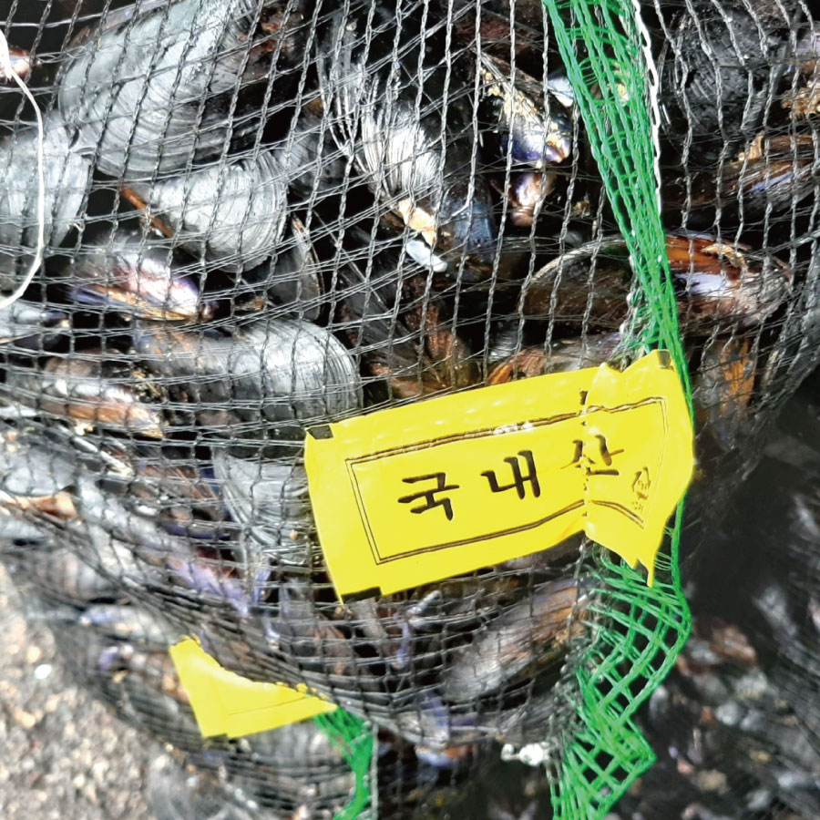 껍질 없이 바로 요리 간편한 프리미엄 국내산 홍합살 500g - 상세 이미지 4