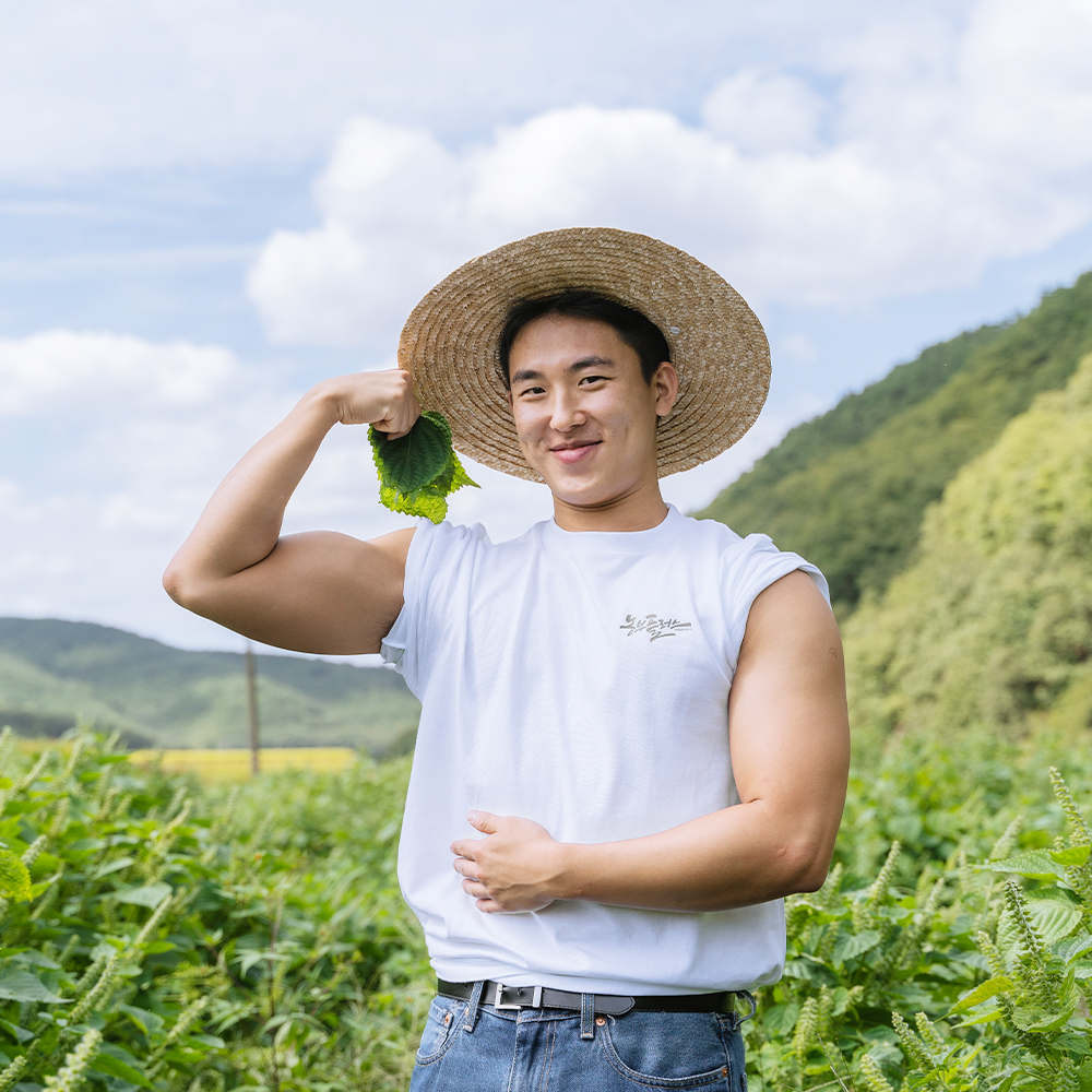 국산 토종꿀 아카시아꿀 1kg 농부플러스