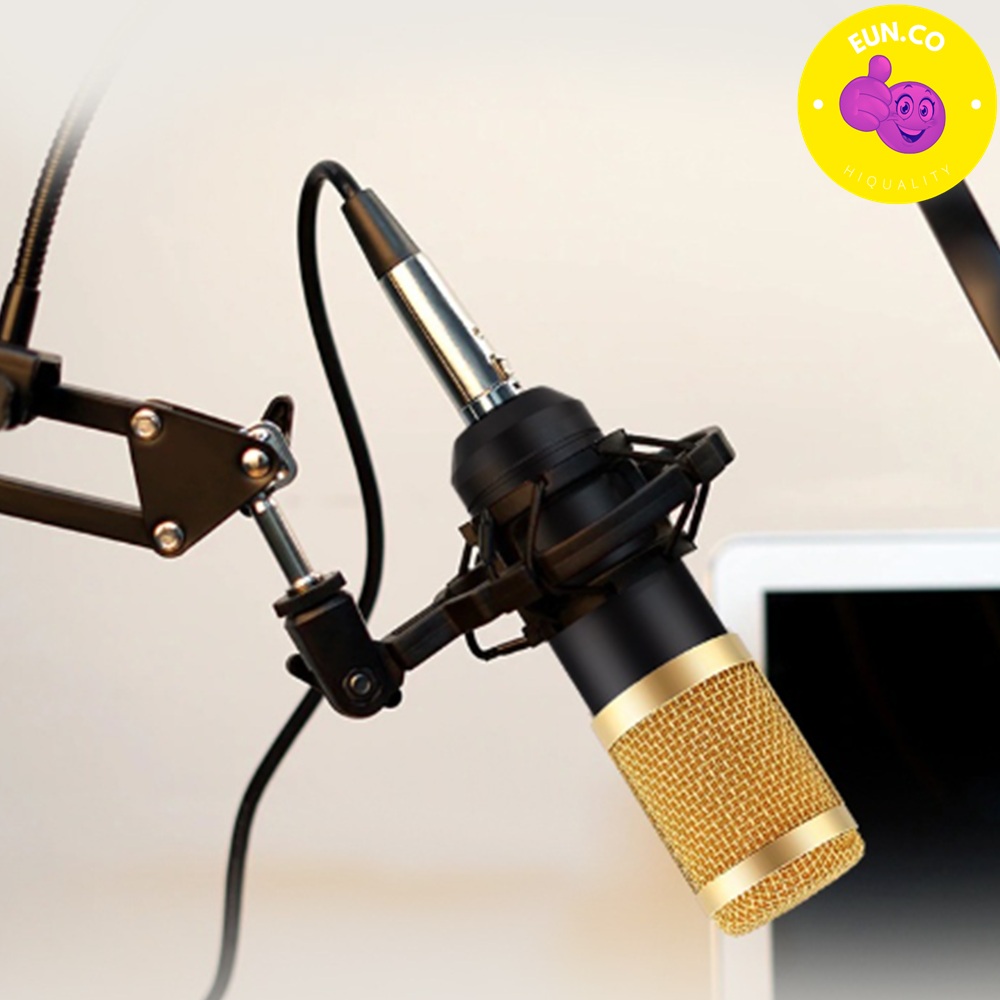 노래 녹음 마이크 스튜디오 입문자용 소음최소화 개인방송 먹방 연주 - 상품 이미지