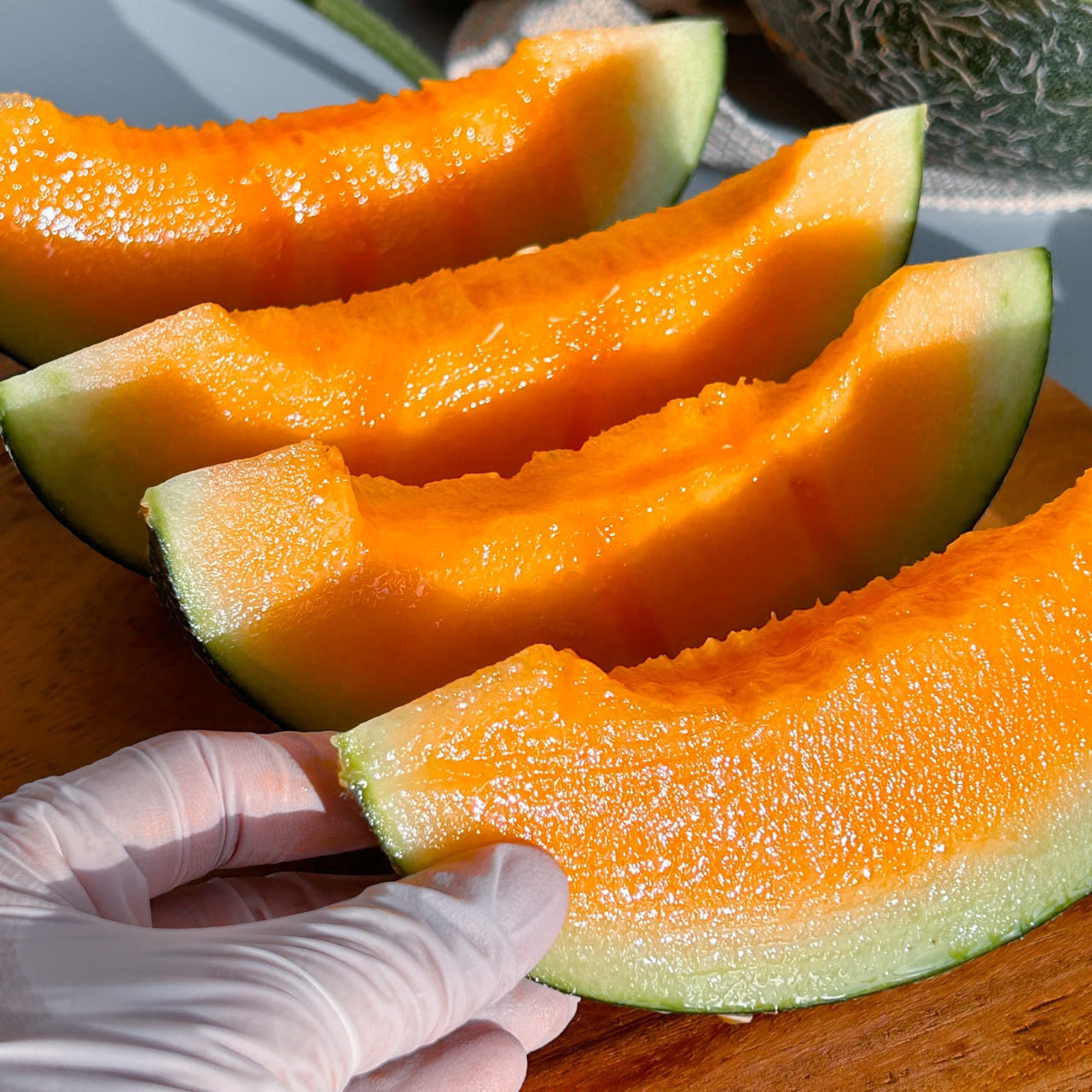 고령 파파야 노을메론 설향 칸탈로프 백자 세지 하미과 양구멜론 개구리참외 2kg 5kg