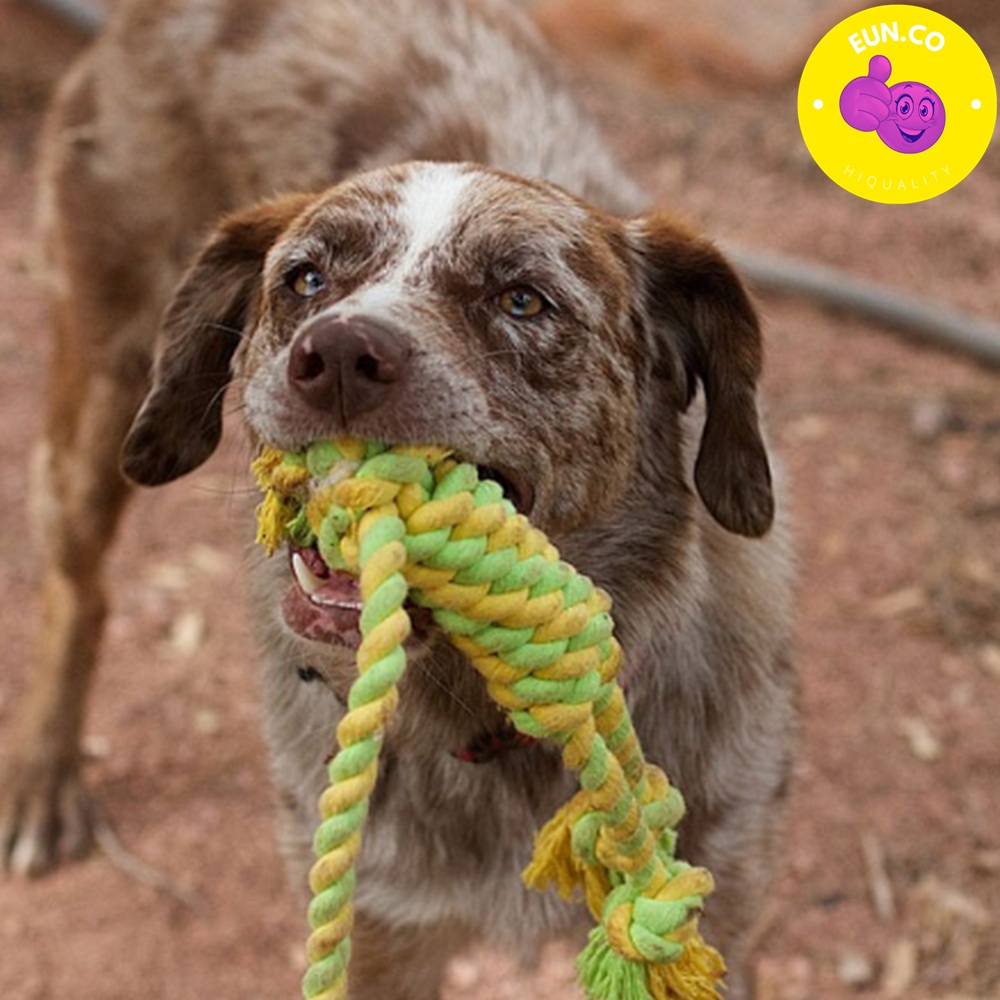 강아지 장난감 이갈이 밧줄 목화 탄성 반려견 애완 용품
