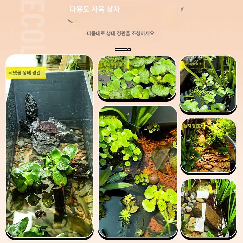 대형 거북이 플라스틱 양어장 대형수조 물고기 수조 풀세트 그레이 80CM 고형 표준 세트 - 상세 이미지 5