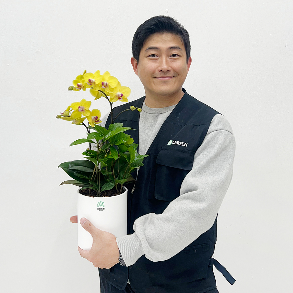 경기 안성 축하화환 근조화환 금전수 개업화분 전국당일꽃배달 축하 선물 결혼식 장례식장 경조 - 상품 이미지