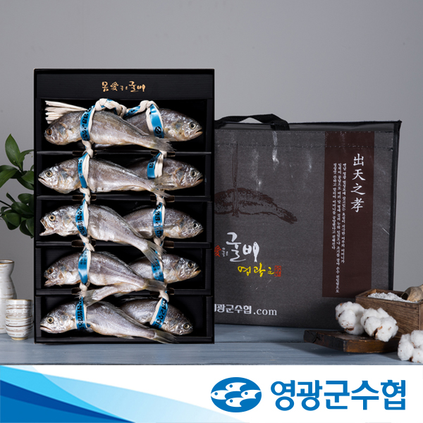 영광군수협 법성포 영광 오가 굴비 2.3kg 10미 이바지 VIP 시댁 양가 저염 선물포장