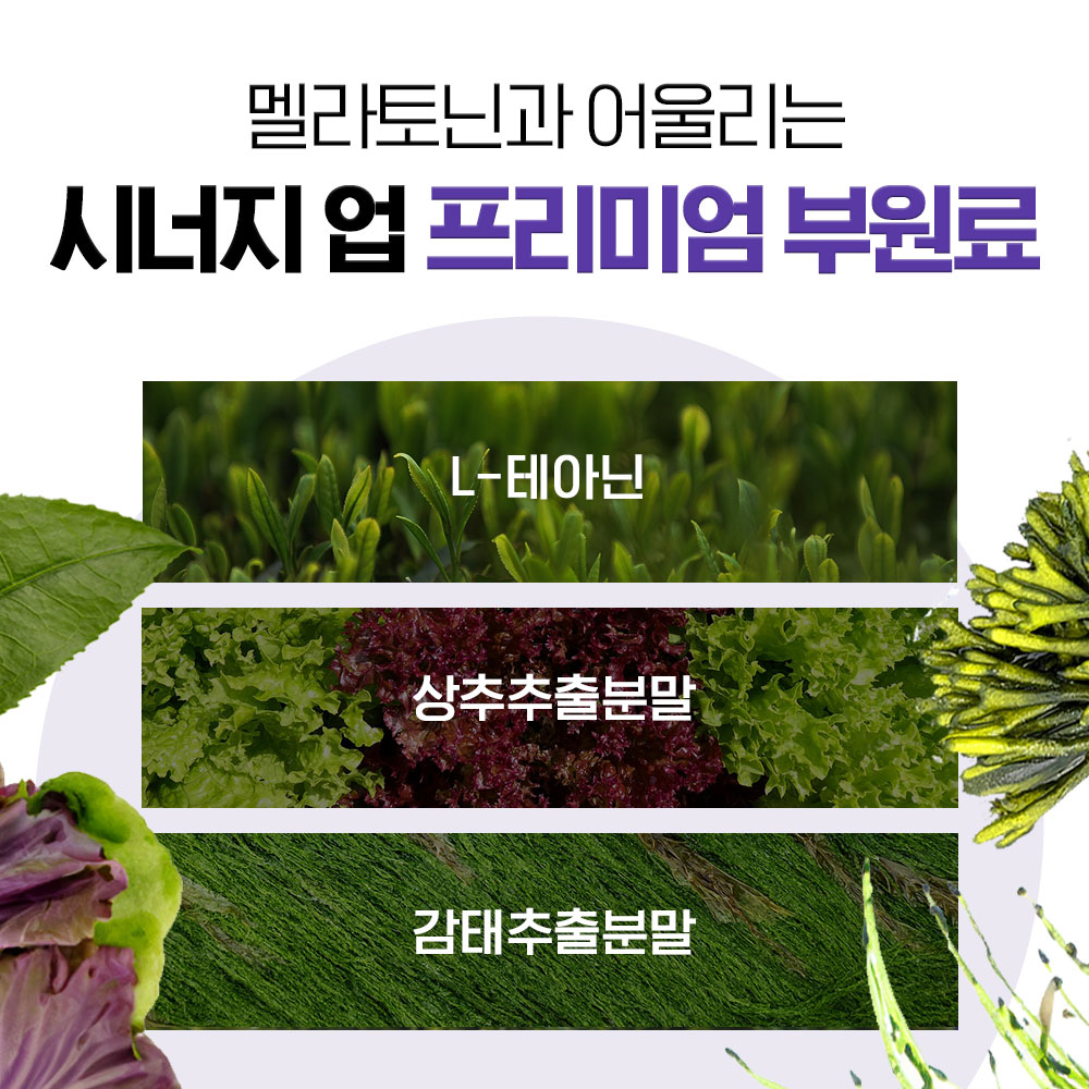 식물성 멜라토닌 함유 멜라코어 500mg x 180정 6개월분 이미지 8