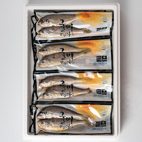 영광군수협 법성포 영광 저염 굴비 1.4kg 20마리 진공 포장 아기 생선 장대 역걸이 - 상세 이미지 4