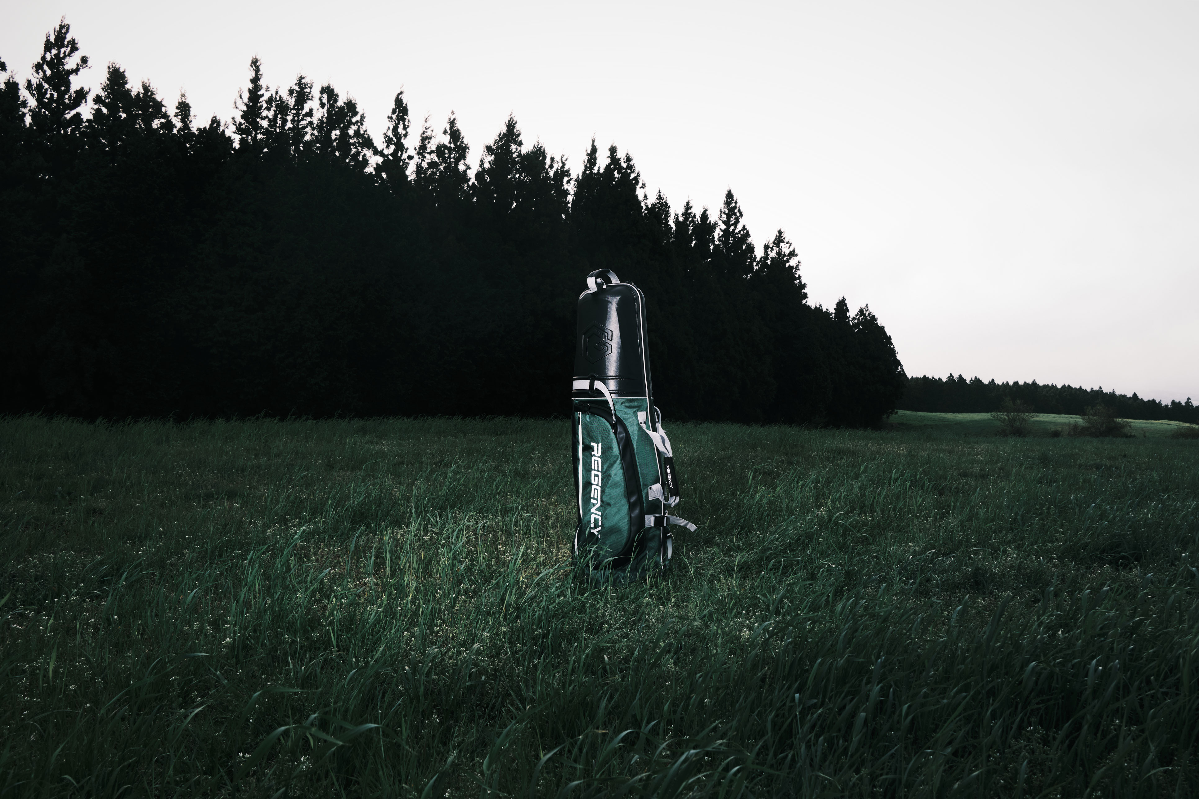 리젠시 골프백 ABS 항공커버 보호패드포함 하드케이스 캐디백 휠 바퀴 항공카바 이미지 2
