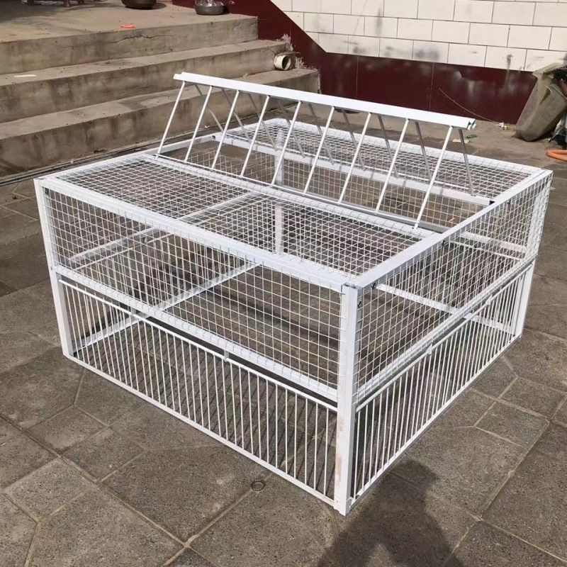 비둘기 포획틀 철제 트랩 농작물 보호 새잡는 도구 대형 60x60x50 - 상품 이미지
