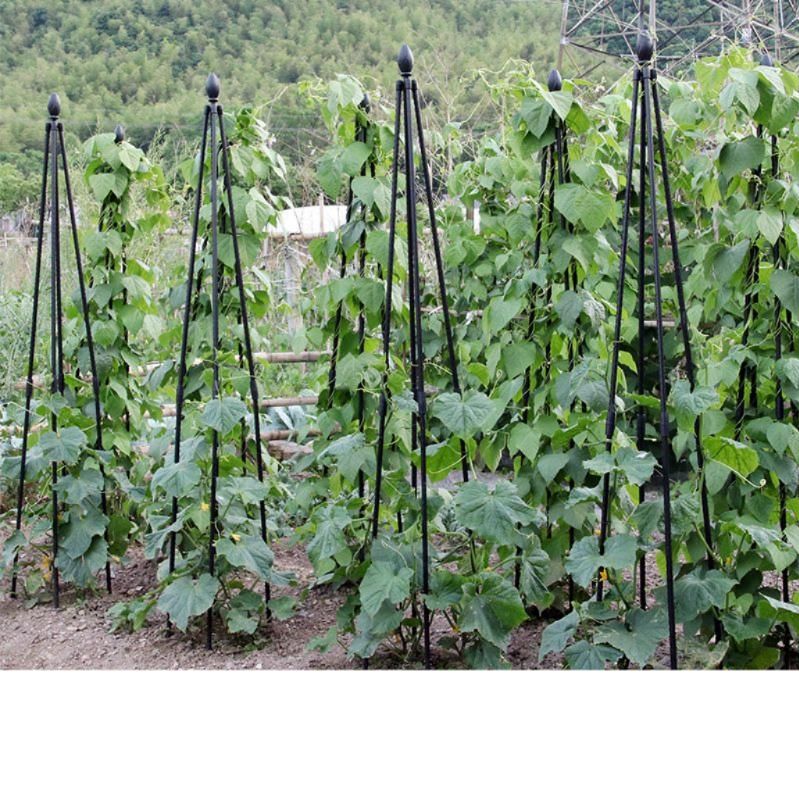 오이 호박 지지대 넝쿨 작물 지주대 원예 농사 조립식 14mm 90cm 검정 - 상품 이미지