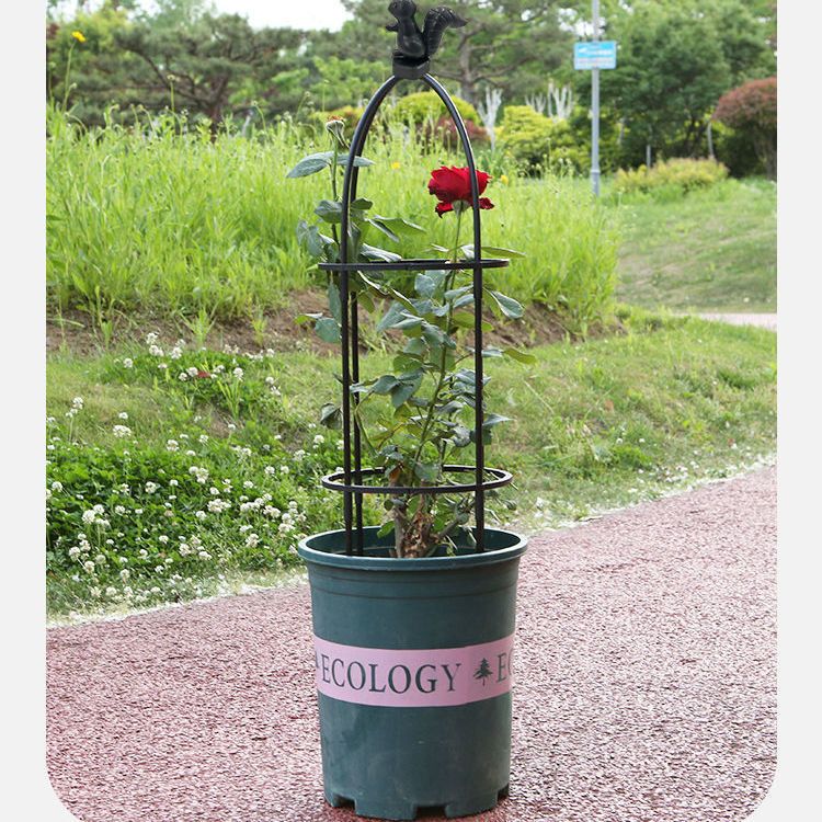 장미 오벨리스크 지지대 꽃 스탠드 넝쿨 정원꾸미기 검은 다람쥐 3단(120cm) 유리섬유 - 상세 이미지 3