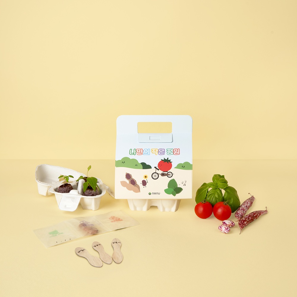 나누 씨앗심기 키트 방울토마토 바질 강낭콩 식물 키우기 유치원 어린이집 원예활동 개별포장