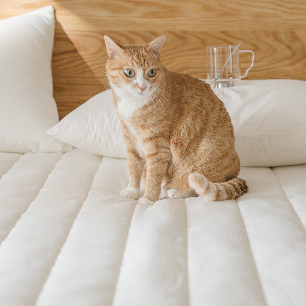 최상의 쾌적함 100수 순면 알러지프리 두툼한 누빔패드(건조기 가능, 뒷면 밴딩)