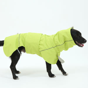 핸독 대형견우비 반려견우비 애견레인코트 솔직 후기 | 실제 사용자 리뷰 총정리 - 상품 이미지 1