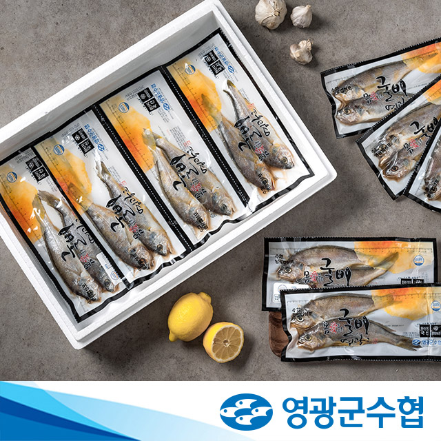 영광군수협 법성포 영광 저염 굴비 1.4kg 20마리 진공 포장 아기 생선 장대 역걸이