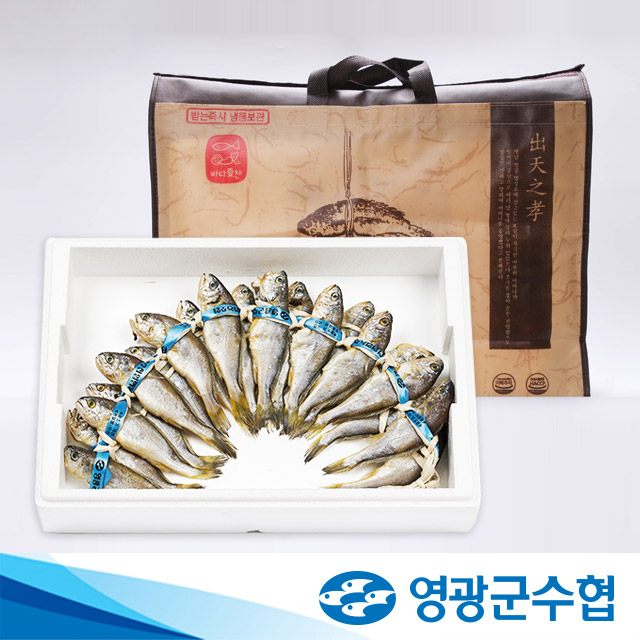 영광군수협 법성포 영광 저염 굴비 1.4kg 20마리 역걸이 부모님 시댁 추석 선물