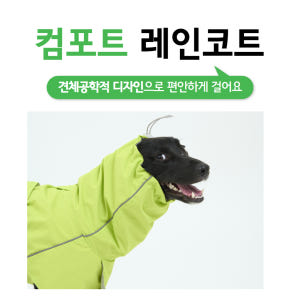핸독 대형견우비 반려견우비 애견레인코트 솔직 후기 | 실제 사용자 리뷰 총정리 - 상품 이미지 2
