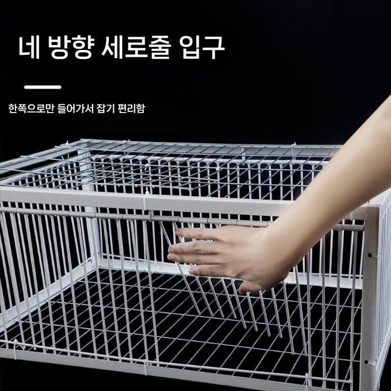 비둘기 포획틀 철제 트랩 농작물 보호 새잡는 도구 대형 60x60x50 - 상세 이미지 4