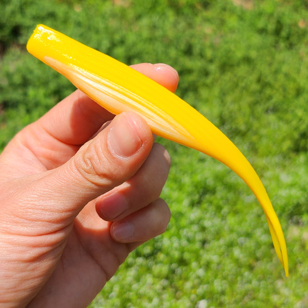 이오스컴퍼니 케이무라베이트 광어다운샷웜 LM 레몬, 12.7cm(5인치) - 상품 이미지