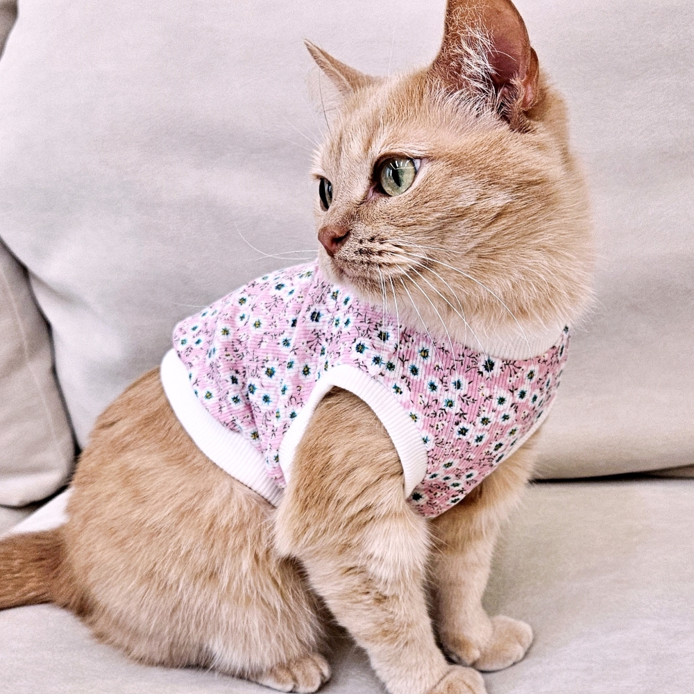 고양이 옷 여름용 민소매 숏기장 골지 티셔츠 크롭티 들꽃 하늘 - 상세 이미지 2