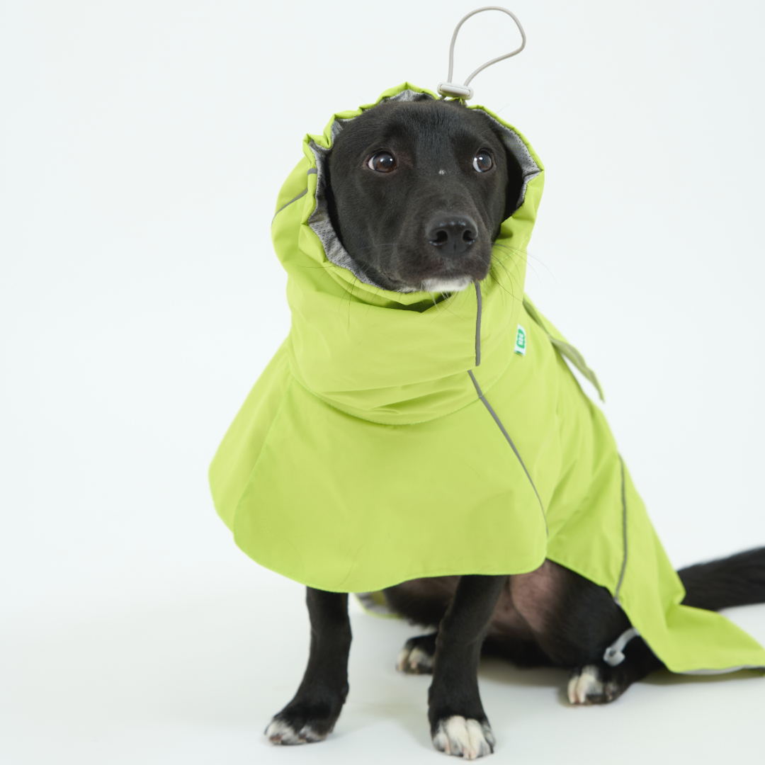 핸독 대형견우비 반려견우비 애견레인코트 이미지 3