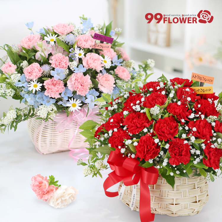 99플라워 꽃배달, 생화 꽃바구니, 생일선물, 여자친구 감동, 카네이션 선물