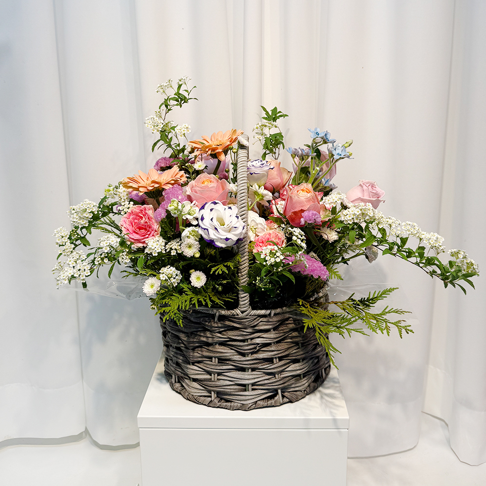 평택 카네이션 꽃바구니 어버이날 스승의날 꽃배달서비스 가정의달 부모님 선물 생화 농장직영