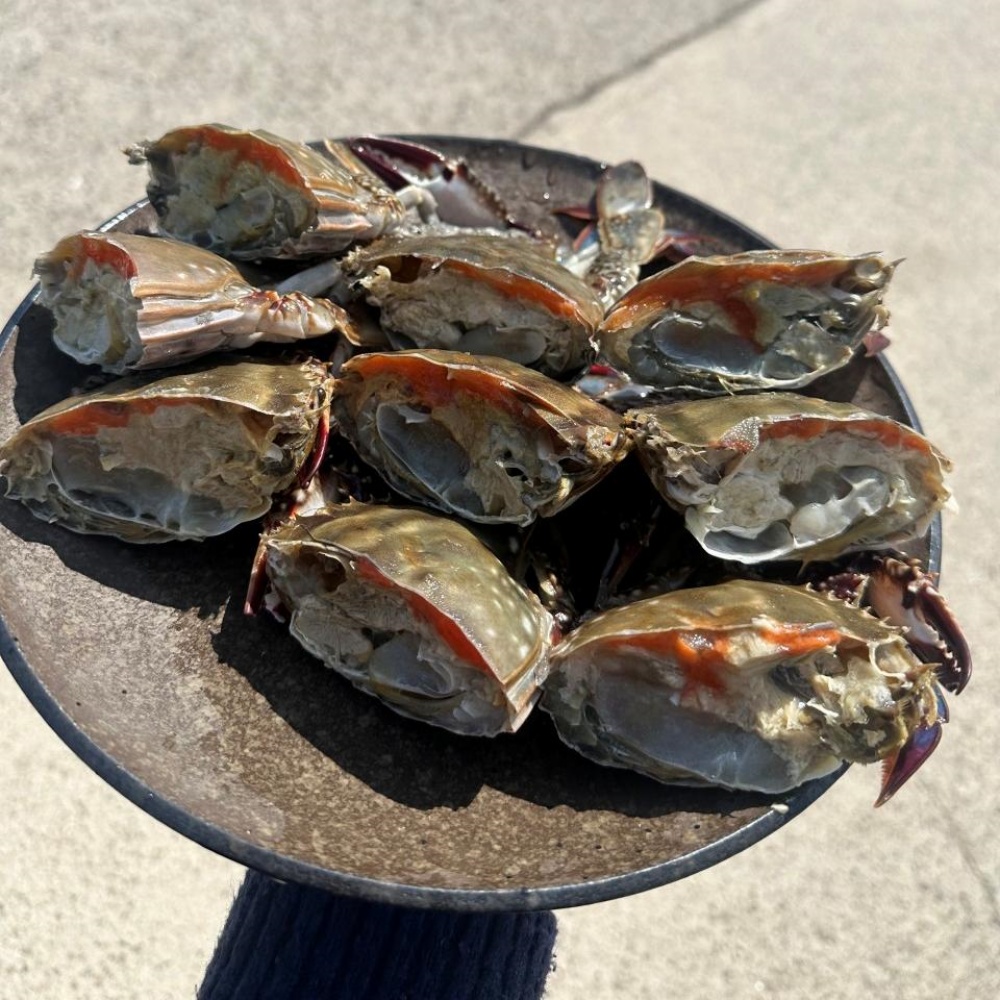 양념 간장게장용꽃게 꽂개 서해 서해안 냉동꽃게 절단게 급냉절단꽃게 꽃개 1kg, 1개 - 상세 이미지 4