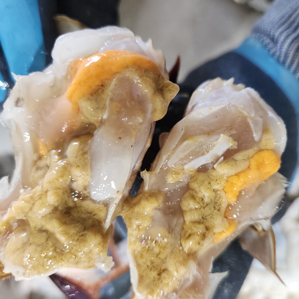 양념 간장게장용꽃게 꽂개 서해 서해안 냉동꽃게 절단게 급냉절단꽃게 꽃개 2kg, 1개 - 상세 이미지 4