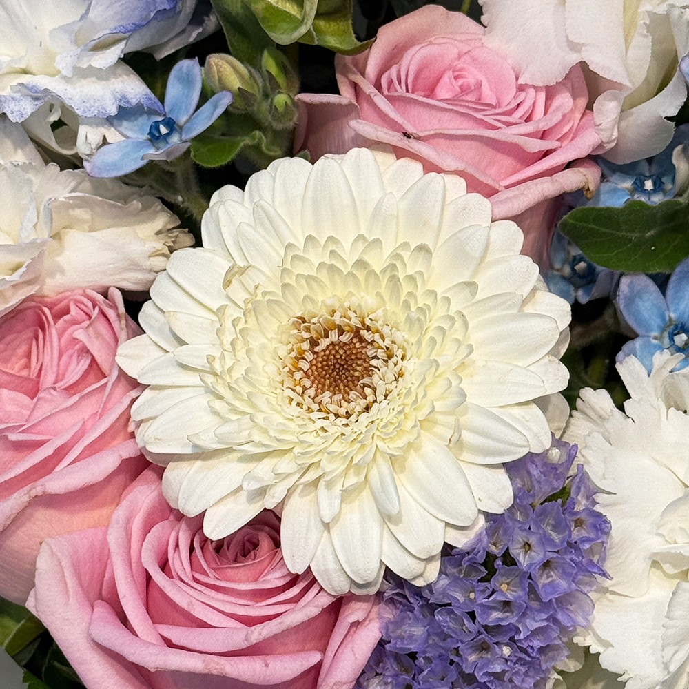 양주 카네이션 꽃다발 어버이날 스승의날 꽃배달서비스 가정의달 부모님 선물 생화 농장직영