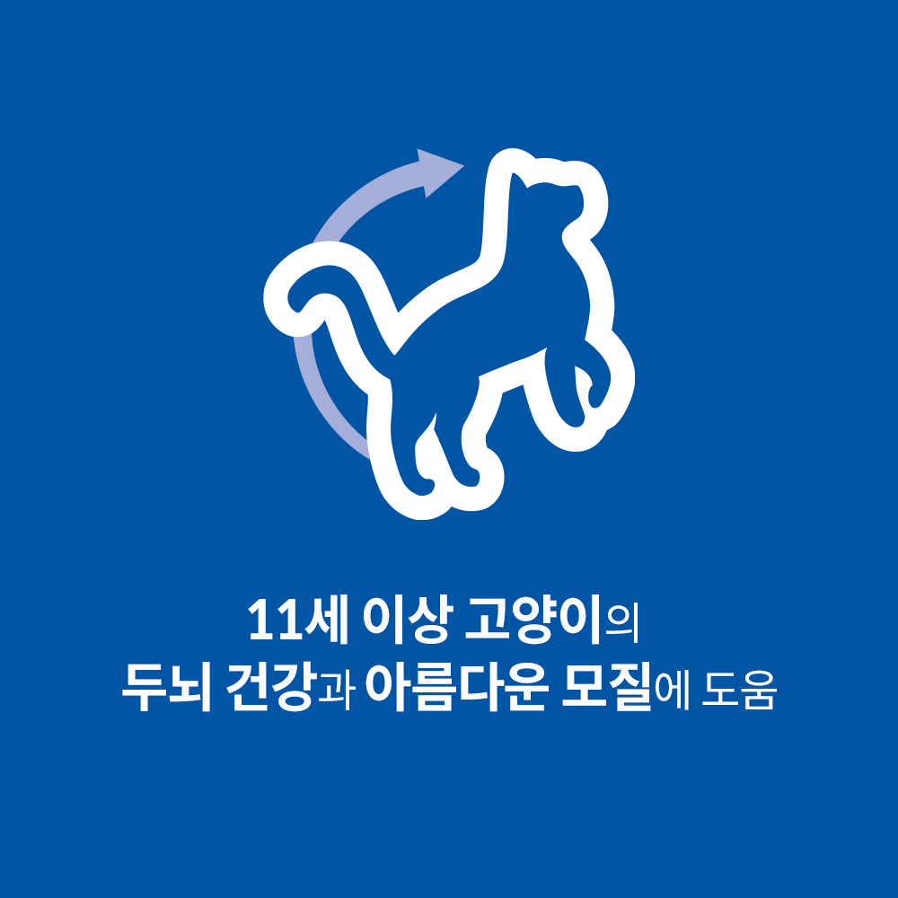 힐스 어덜트 11+, 고양이사료 후기, 힐스 사이언스 다이어트, 14살 고양이 사료, 노령묘 사료 추천